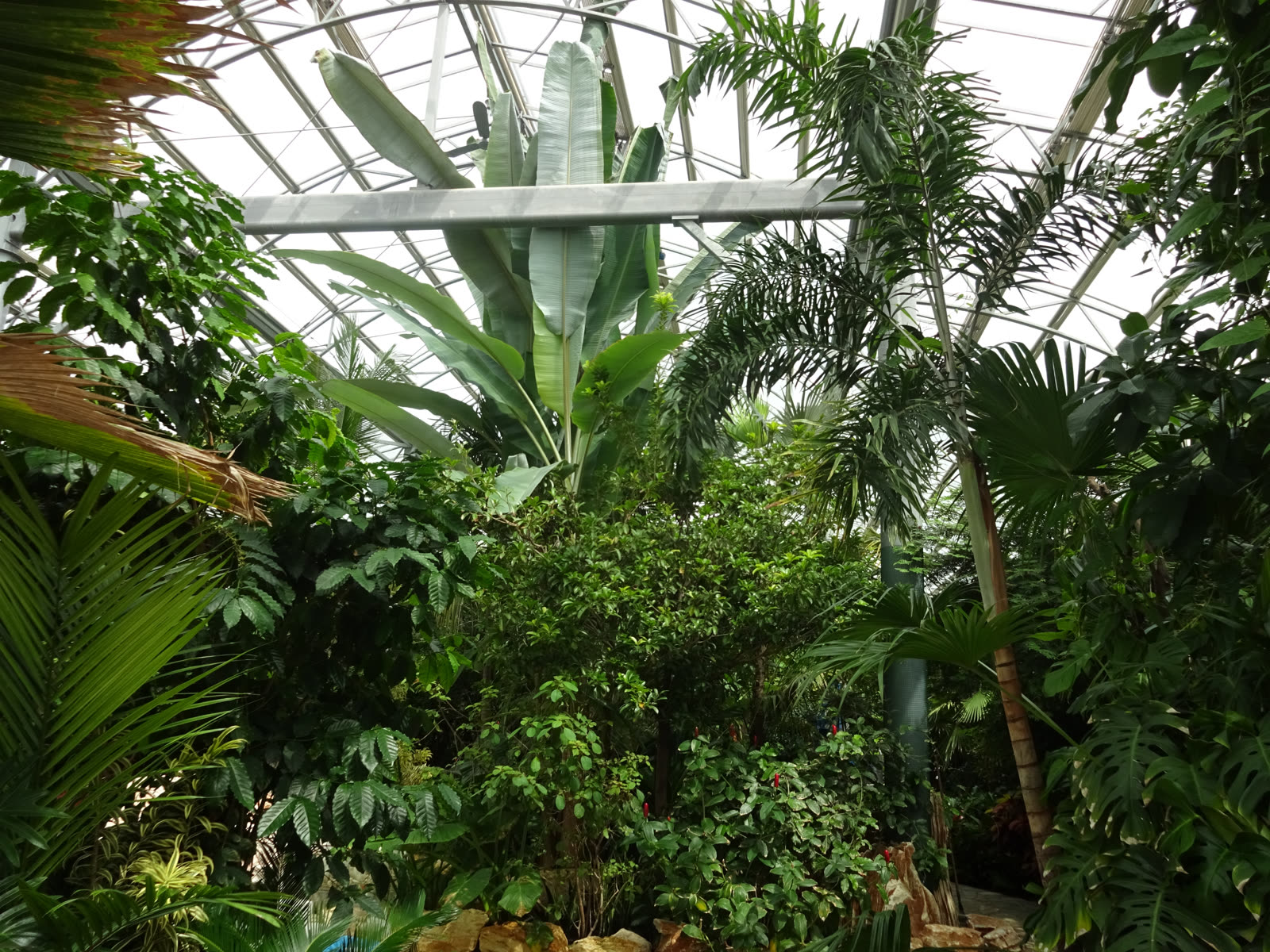 Bayan Palace & Botanical Garden