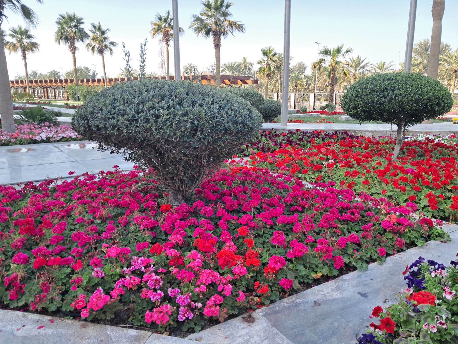 Seif Palace and Associated Areas