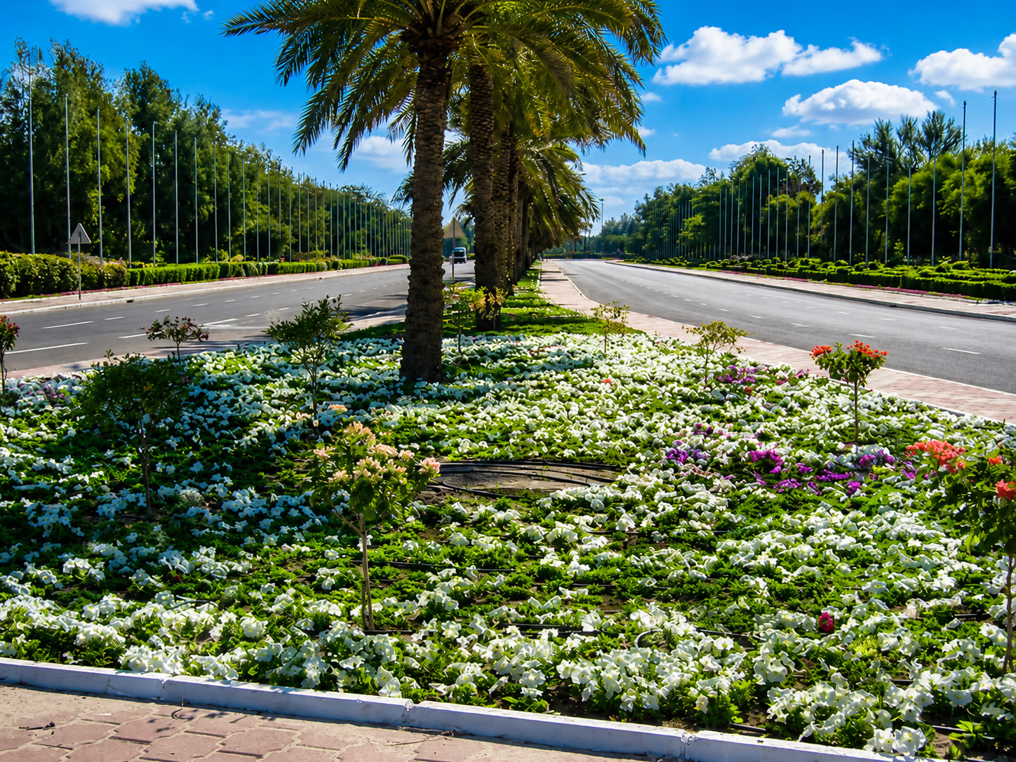 Bayan Palace & Botanical Garden
